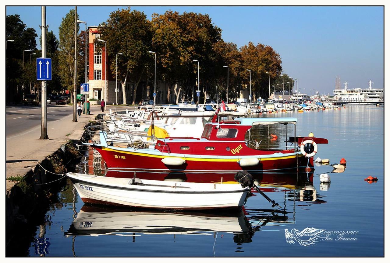 And Soul Of Dalmatia
